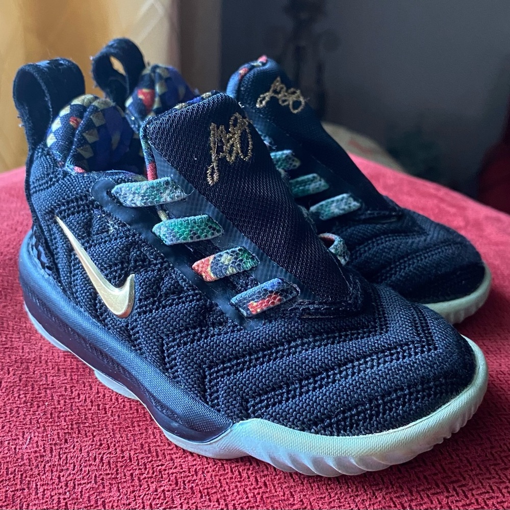 Nike LeBron James toddler shoes 5c